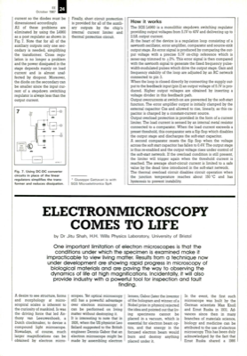 Electronmicroscopy Comes To Life