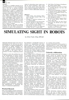 Simulating Sight In Robots