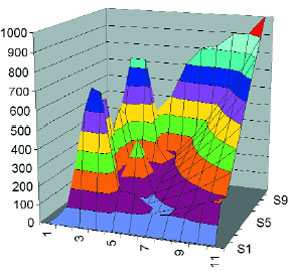 Brachion Detector