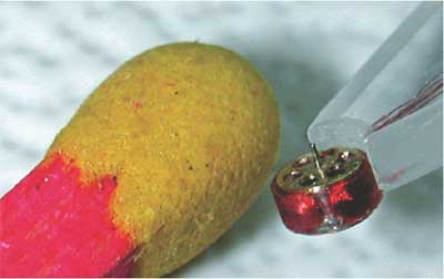 The World's Smallest Electric Motor